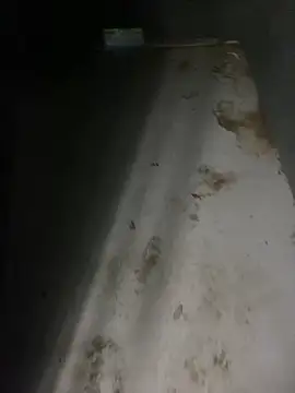 Snapshot of zeekBbc chatting on April 5, 12:41 am zeekBbc online show from April 5, 12:41 am