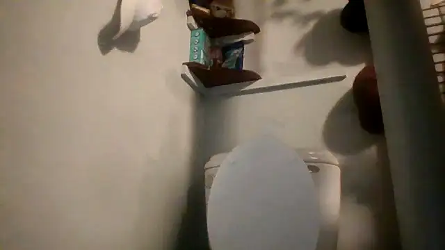 lilbishmiss online show from May 15, 11:01 pm