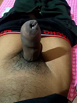 Snapshot of ashik149 chatting on November 2, 8:22 pm ashik149 online show from November 2, 8:22 pm