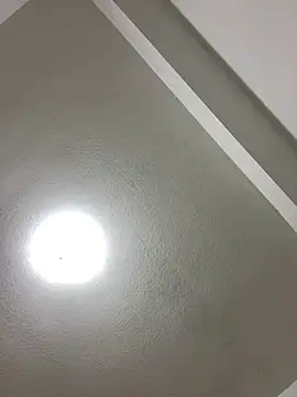 Snapshot of islandvybee55 chatting on January 3, 8:00 am islandvybee55 online show from January 3, 8:00 am