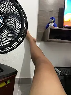 Snapshot of D4ivid chatting on February 16, 4:52 am D4ivid online show from February 16, 4:52 am