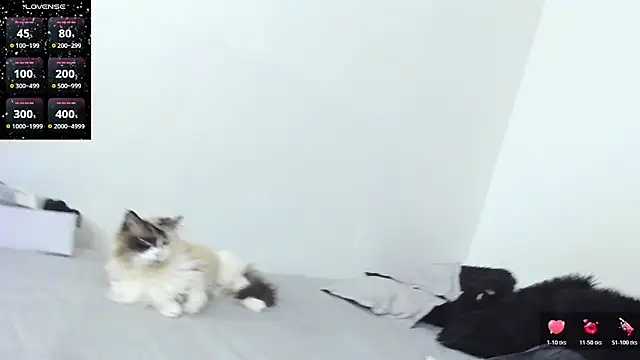 SophieBaker   online show from February 3, 2:10 am