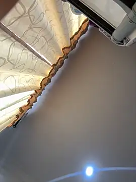 pawmistry online show from October 2, 7:32 pm