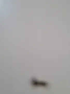 BriannaVincent online show from October 29, 4:26 am