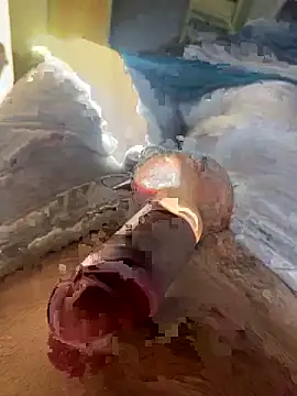 toto36643 online show from February 23, 10:23 am