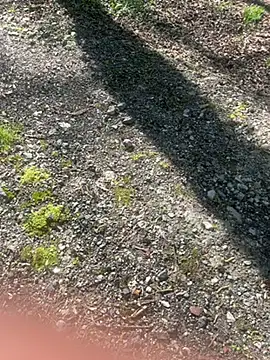 pupine35 online show from April 3, 10:13 am