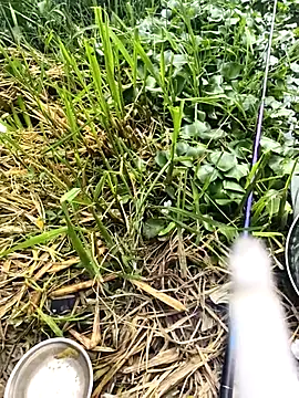 Snapshot of huzi518 chatting on September 27, 3:33 am huzi518 online show from September 27, 3:33 am