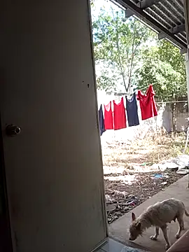 Andresguz35 online show from February 8, 8:23 pm