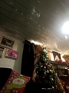 Fenix 528 online show from January 4, 5:05 pm