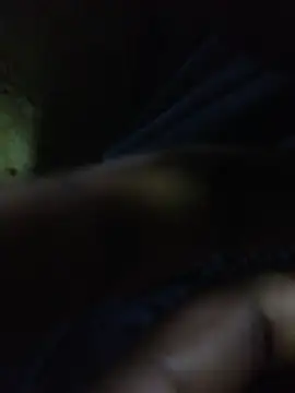 Snapshot of ALEX-BHASHI chatting on October 17, 12:47 am ALEX-BHASHI online show from October 17, 12:47 am