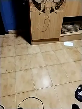 minitranca online show from November 10, 9:25 pm