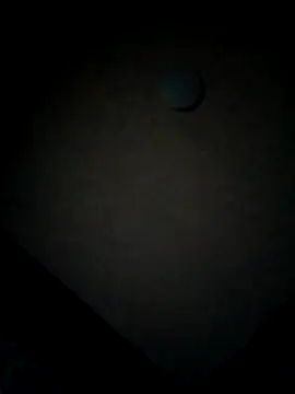 minitranca online show from February 12, 10:05 pm