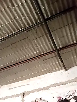 strip 1212 online show from November 13, 5:34 pm