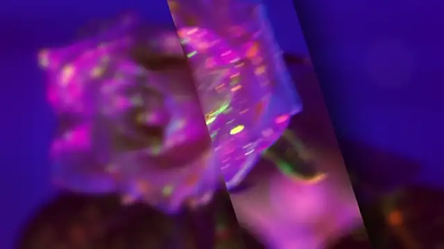 HeyBananas online show from October 22, 5:56 pm