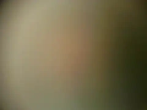 TheSweetBerry online show from March 28, 12:16 pm