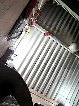 arppyyyxx online show from October 22, 7:35 pm