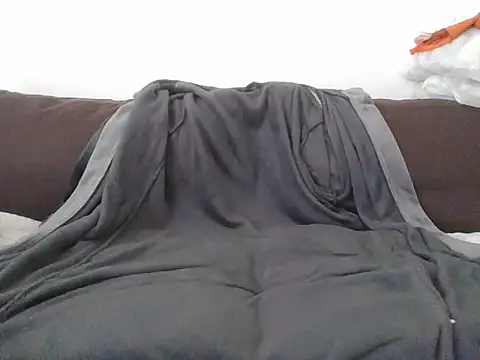 Snapshot of CitizenDick chatting on April 29, 11:47 am CitizenDick online show from April 29, 11:47 am