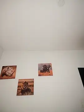 Shria107 online show from December 14, 12:10 pm