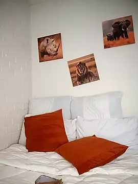 Shria107 online show from January 8, 11:45 am