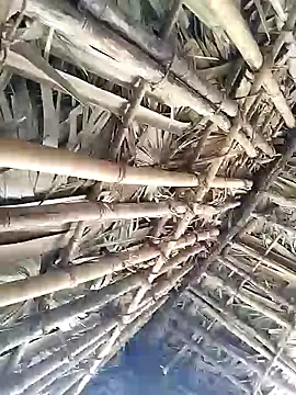 Snapshot of Mrveda66 chatting on February 9, 6:17 am Mrveda66 online show from February 9, 6:17 am