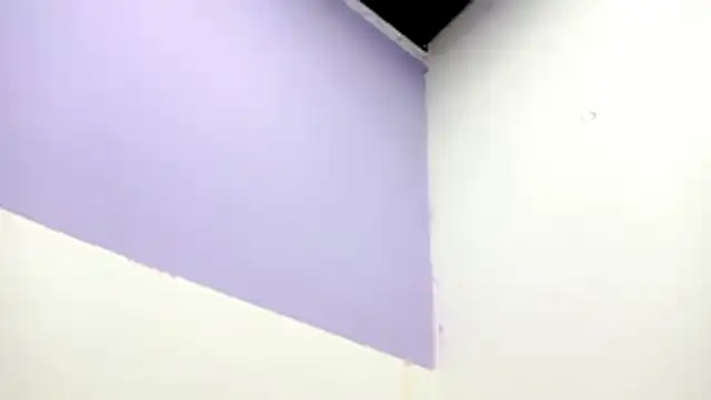 Snapshot of PetiteIvoryQueen19 chatting on February 13, 1:01 am PetiteIvoryQueen19 online show from February 13, 1:01 am