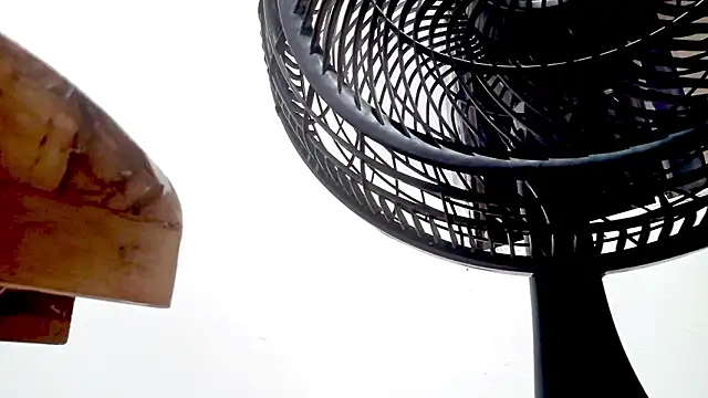 Snapshot of PetiteIvoryQueen19 chatting on February 14, 1:35 am PetiteIvoryQueen19 online show from February 14, 1:35 am