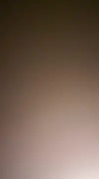 NewKing100 online show from December 2, 3:37 am