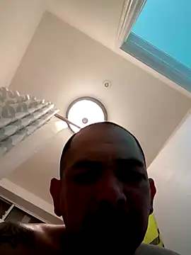 NewKing100 online show from February 3, 1:41 am