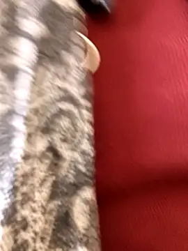 Ananya 34 online show from December 3, 3:14 am