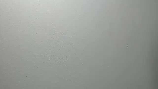 sussy leon online show from February 27, 12:34 pm