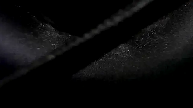 Niquitasparkles online show from January 23, 10:33 pm