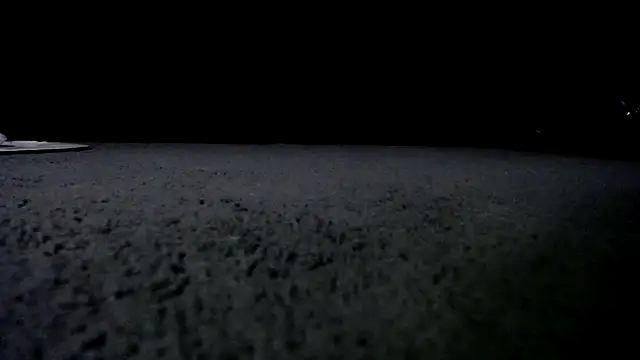 Niquitasparkles online show from January 24, 10:00 am