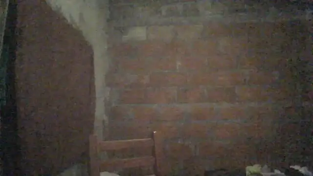 Snapshot of elsaiya chatting on September 22, 12:01 am elsaiya online show from September 22, 12:01 am