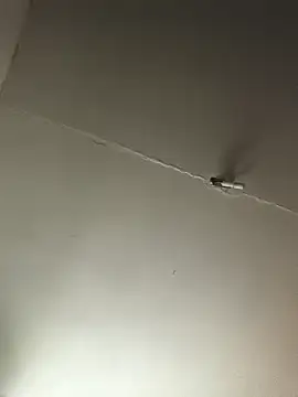 Snapshot of Ozomitro chatting on October 25, 2:35 pm Ozomitro online show from October 25, 2:35 pm