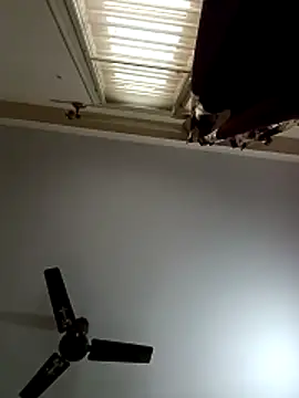 blr boi online show from December 3, 6:54 am