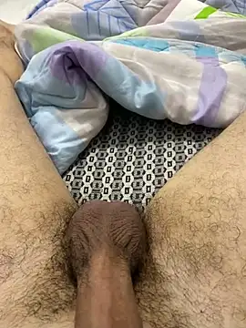 Snapshot of dzpoweralg chatting on February 13, 1:37 pm dzpoweralg online show from February 13, 1:37 pm