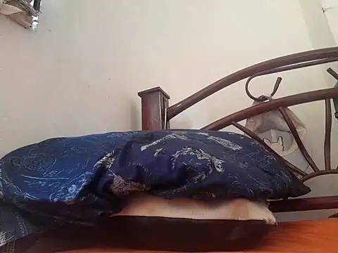 Snapshot of _afrodita_sex chatting on February 10, 7:49 pm afrodita sex online show from February 10, 7:49 pm