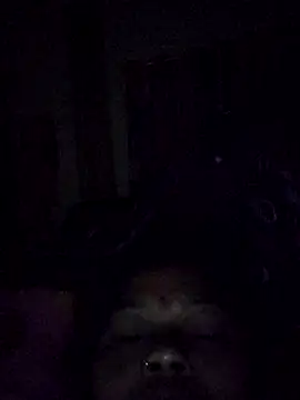 Bangarupapa online show from February 26, 12:31 am