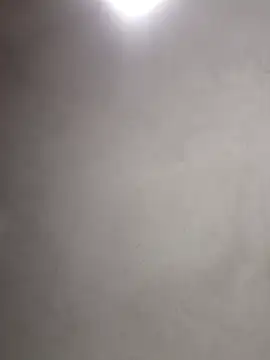  violetta - online show from November 6, 11:00 am