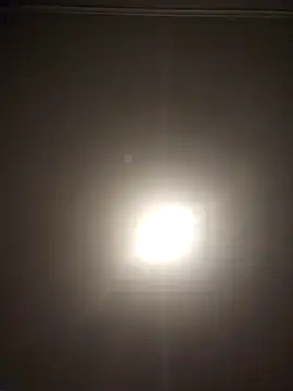 Snapshot of chocolateboy003 chatting on October 21, 8:15 am chocolateboy003 online show from October 21, 8:15 am