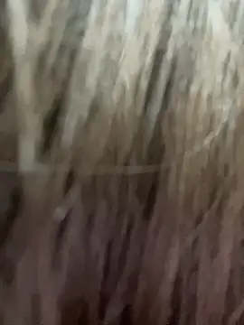 xyebobs online show from October 1, 1:28 pm