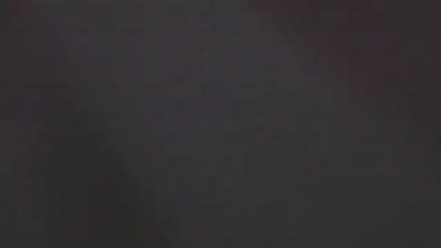 Zoeth Ruiz online show from January 4, 3:39 pm