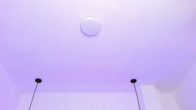 Zoeth Ruiz online show from January 22, 12:17 pm