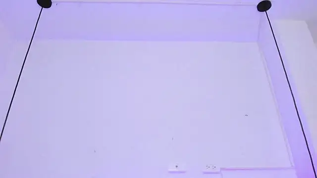 Zoeth Ruiz online show from January 29, 12:45 pm