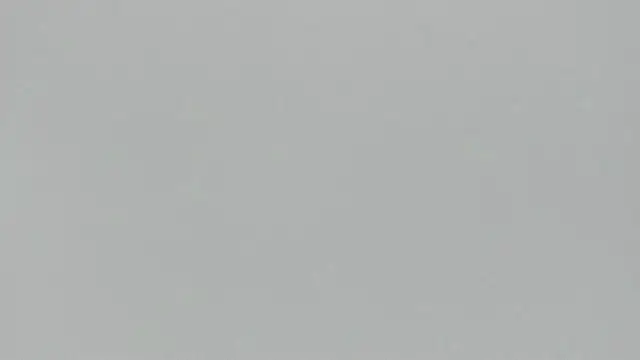 Zoeth Ruiz online show from March 17, 12:46 pm