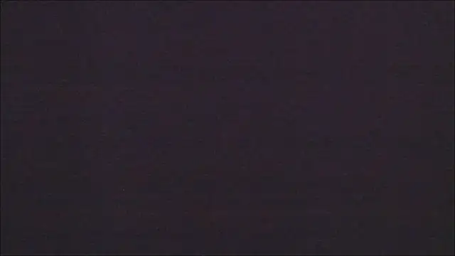 Zoeth Ruiz online show from November 3, 12:28 pm