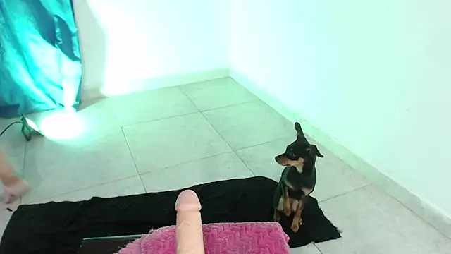 April sexycurvi online show from November 21, 1:37 am