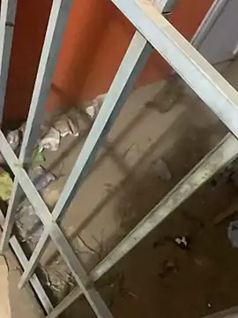 Black mamba madingo online show from March 12, 4:08 am