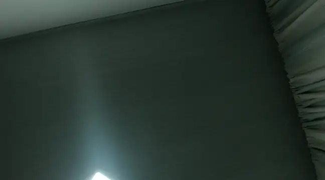 RyanandRosse online show from December 28, 7:55 am