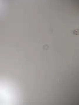 geilerschwanz64 online show from October 24, 7:05 am